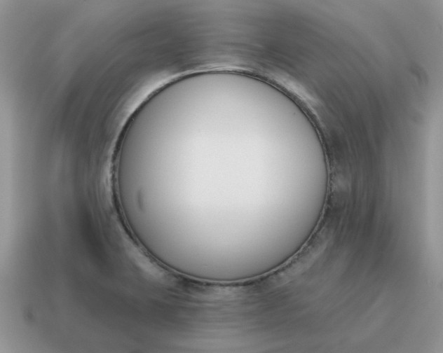 X0000115051423200911091416