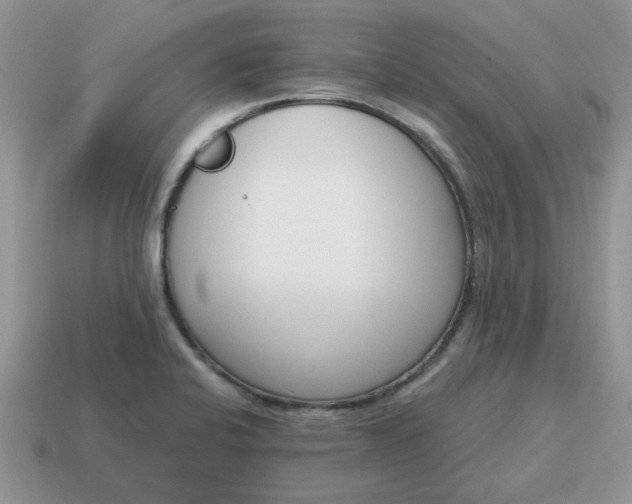 X0000115051424200911091416