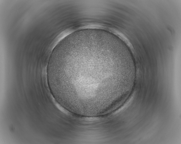 X0000115051425200911091416