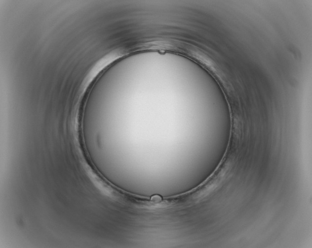 X0000115051426200911091416