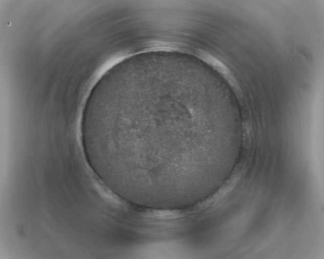 X0000115051427200911091416