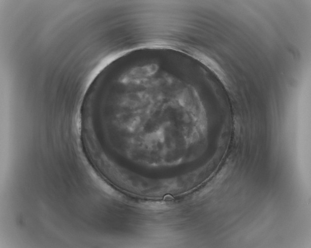 X0000115051428200911091416