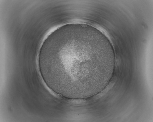 X0000115051429200911091416