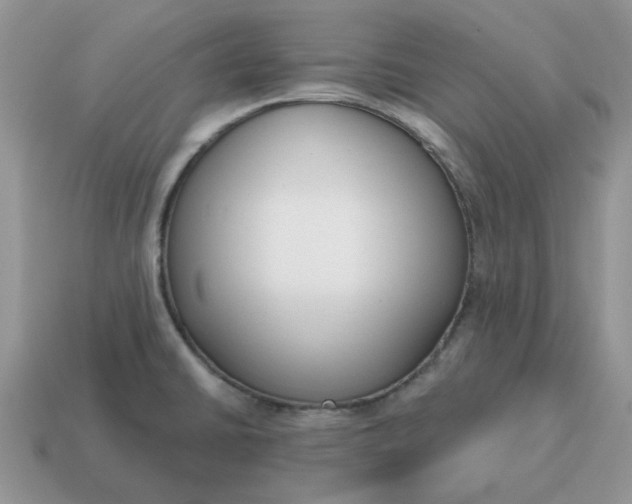 X0000115051430200911091416