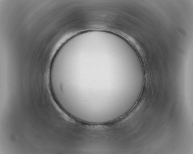 X0000115051432200911091416