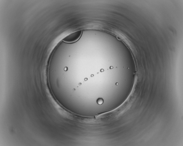 X0000115051434200911091416