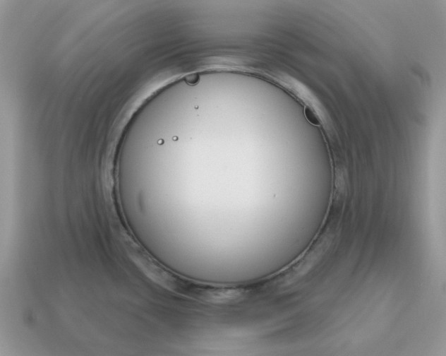 X0000115051435200911091416
