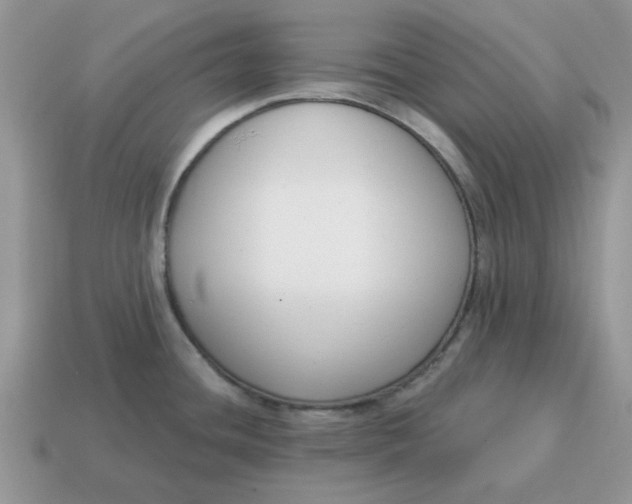 X0000115051436200911091416
