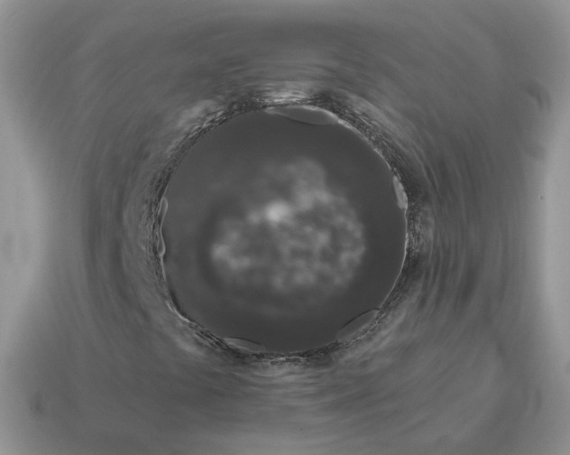 X0000115051441200911091415