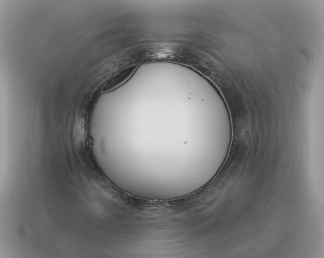 X0000115051442200911091415