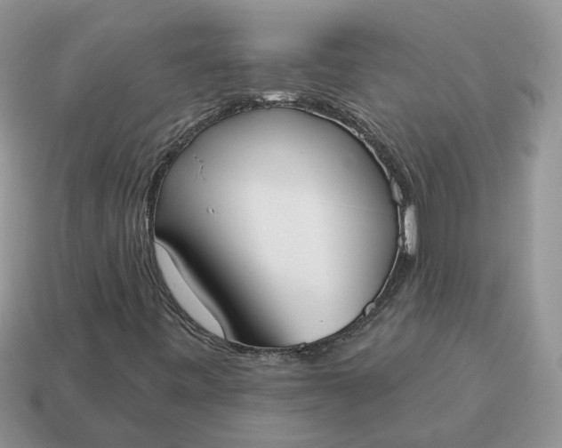 X0000115051443200911091415