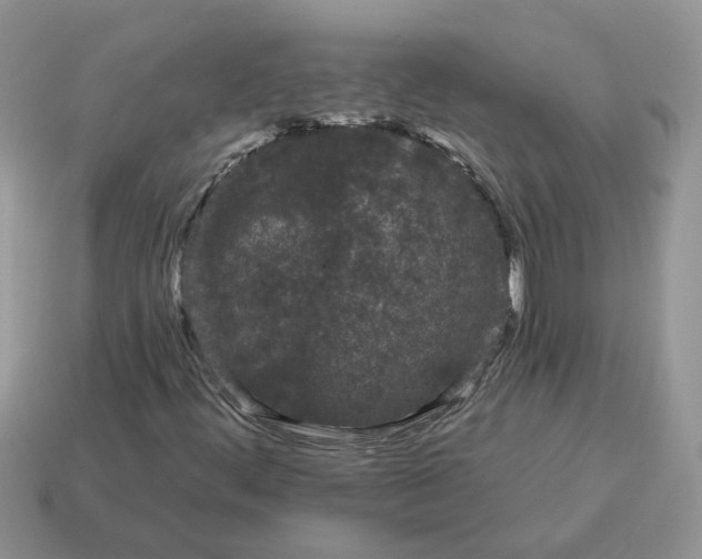 X0000115051444200911091415