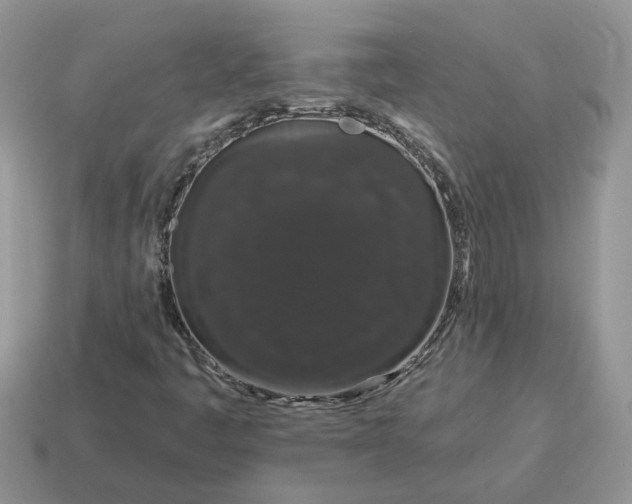 X0000115051445200911091415