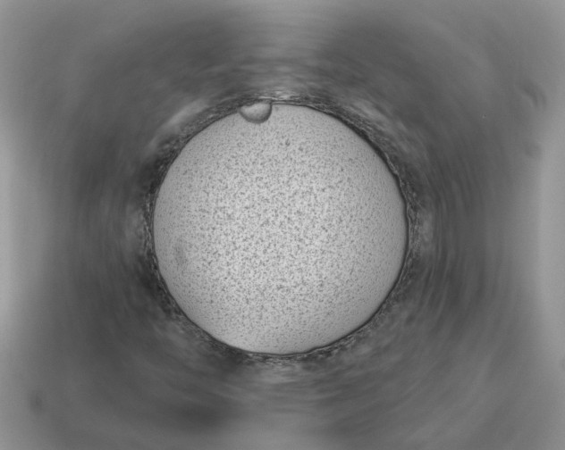 X0000115051446200911091415