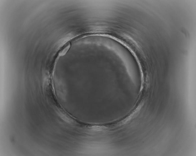 X0000115051449200911091415