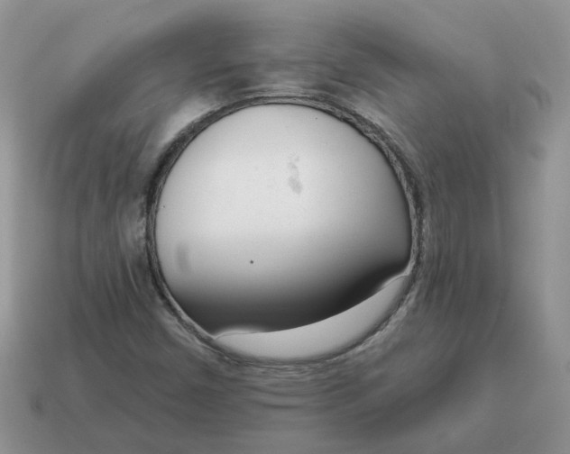X0000115051450200911091415