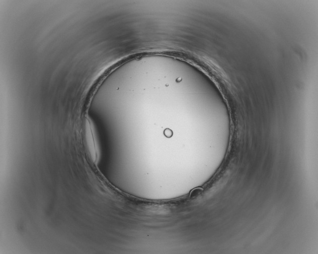 X0000115051457200911091415