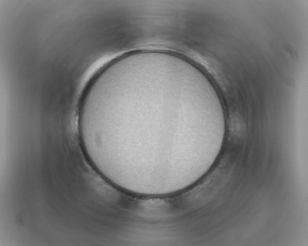 X0000115051462200911091415