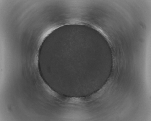 X0000115051463200911091415