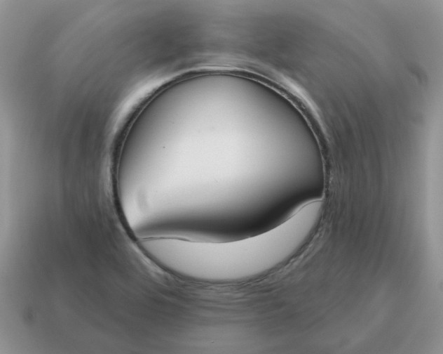 X0000115051464200911091415