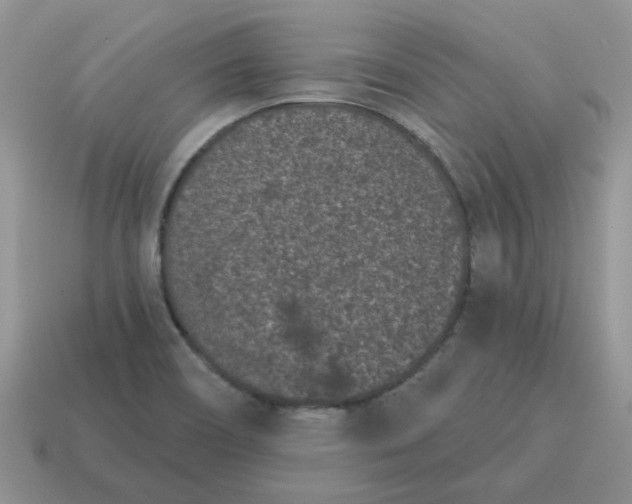 X0000115051466200911091415