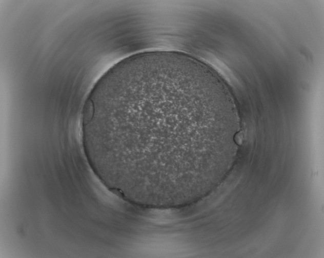 X0000115051468200911091415