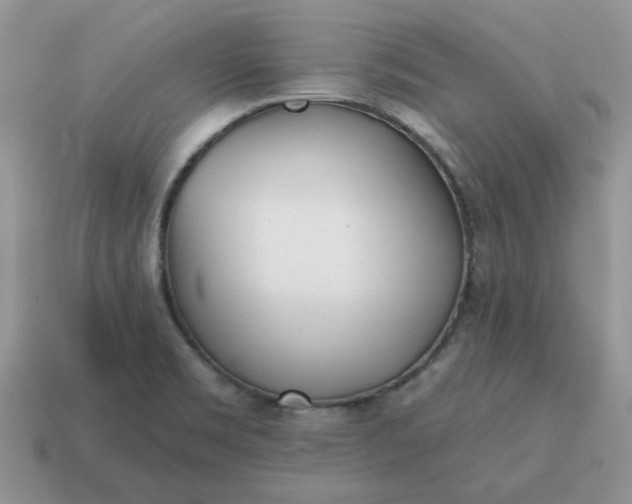 X0000115051469200911091415