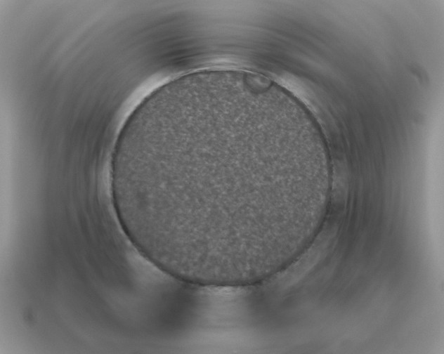 X0000115051474200911091415