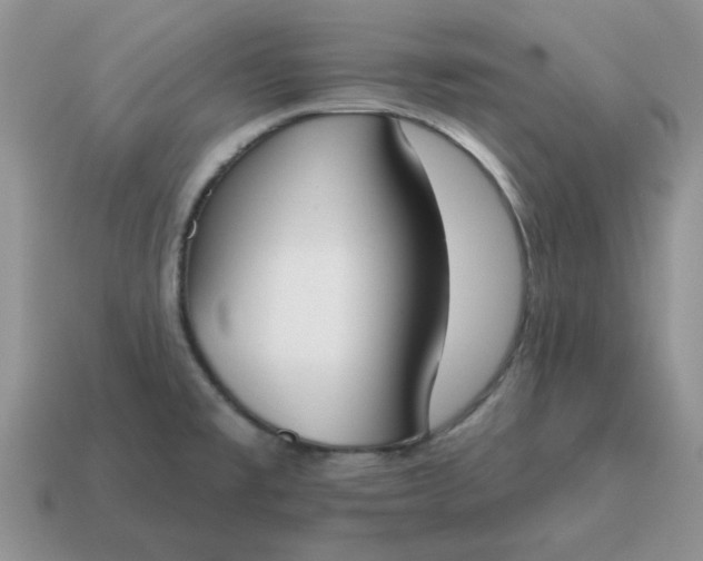 X0000115051477200911091415