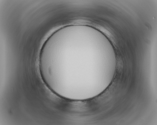 X0000115051478200911091415
