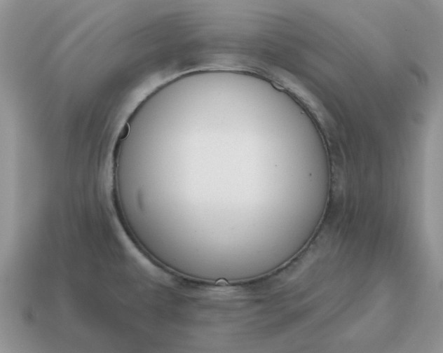 X0000115051479200911091415