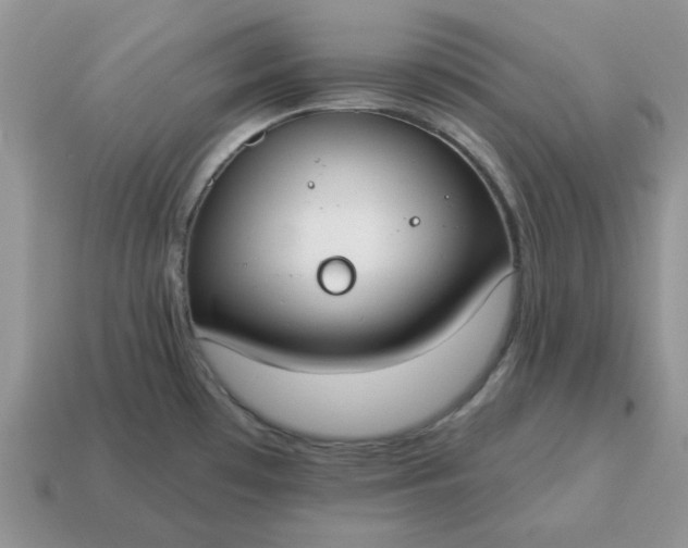 X0000115051481200911091415
