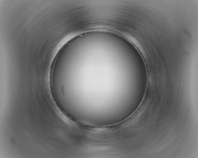 X0000115051482200911091415