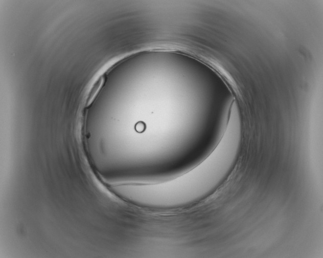 X0000115051484200911091415