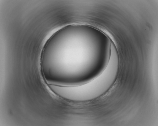 X0000115051485200911091415