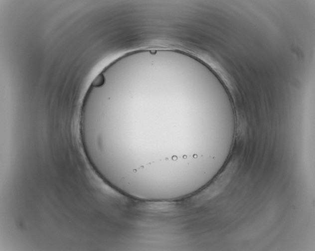 X0000115051486200911091415
