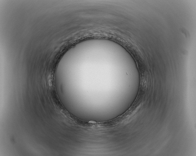 X0000115051490200911091414