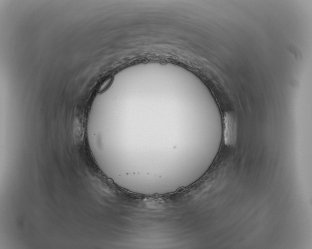 X0000115051491200911091414
