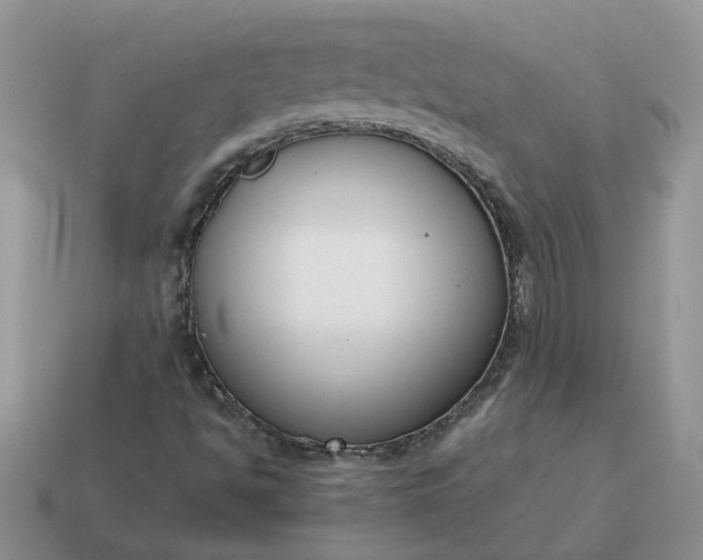 X0000115051494200911091414