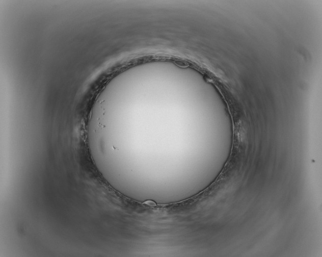 X0000115051495200911091414