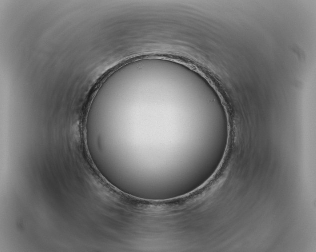 X0000115051497200911091414