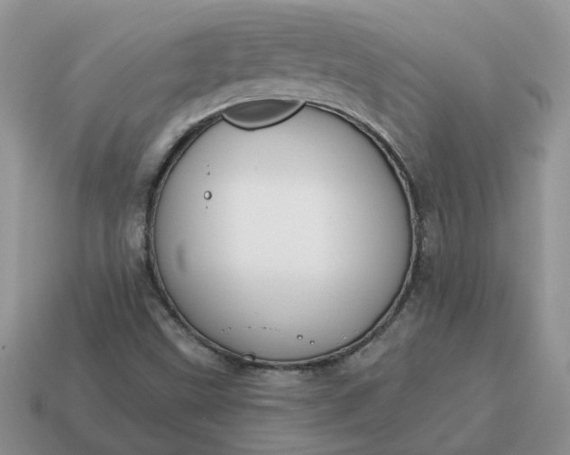 X0000115051499200911091414
