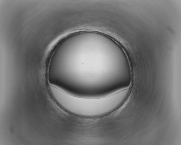 X0000115051502200911091414