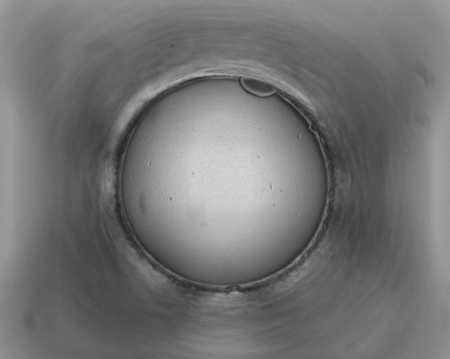 X0000115051506200911091414