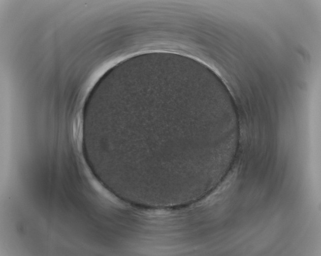X0000115051515200911091415
