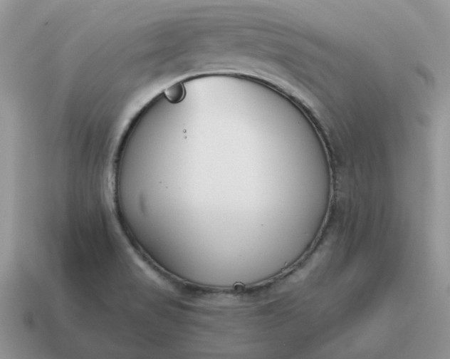 X0000115051517200911091415