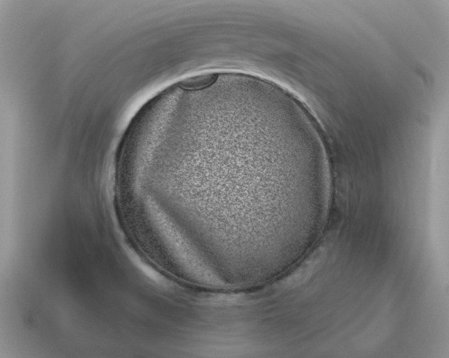X0000115051519200911091415