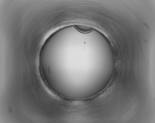 X0000115051523200911091415