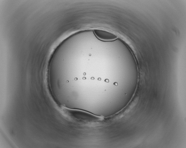 X0000115051525200911091415