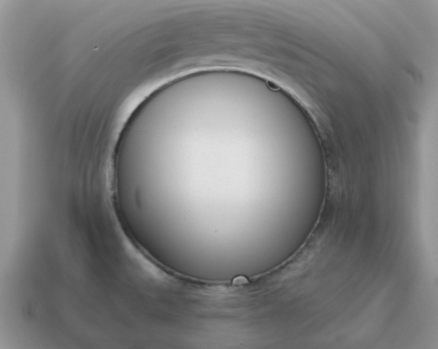 X0000115051527200911091415
